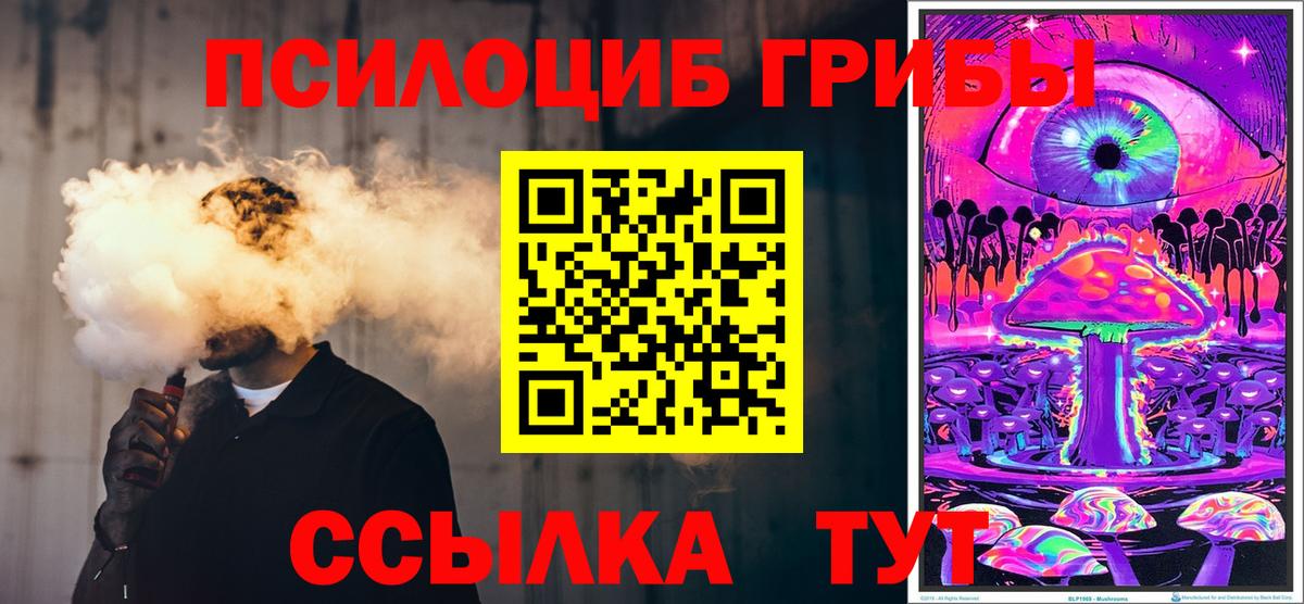 Галлюциногенные грибы мицелий  Вход с VPN  Заводоуковск 