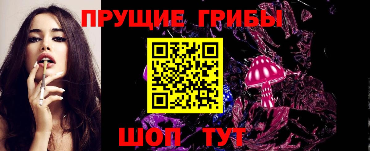 Псилоцибиновые грибы мицелий Заводоуковск
