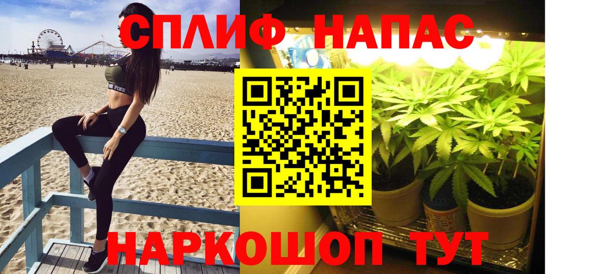 Шишки марихуана сатива  МАРИХУАНА семена  Бошки марихуана SATIVA & INDICA  Шишки марихуана план  Вход с VPN  Заводоуковск 